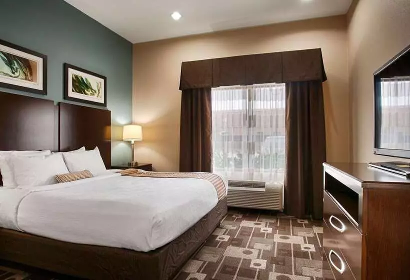 Fotos del hotel Best Western Plus Jfk Inn And Suites:  22
