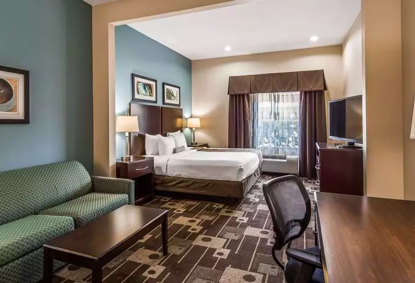 Fotos del hotel Best Western Plus Jfk Inn And Suites:  25