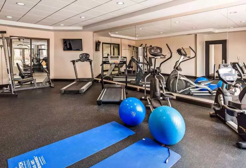 Fotos del hotel Best Western Plus Jfk Inn And Suites:  5