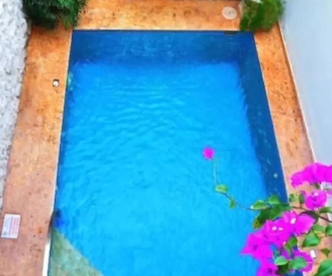 Fotos del hotel Casa Del Curato:  2