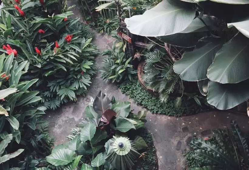 Fotos del hotel Shewe Wana Boutique Resort & Spa:  7