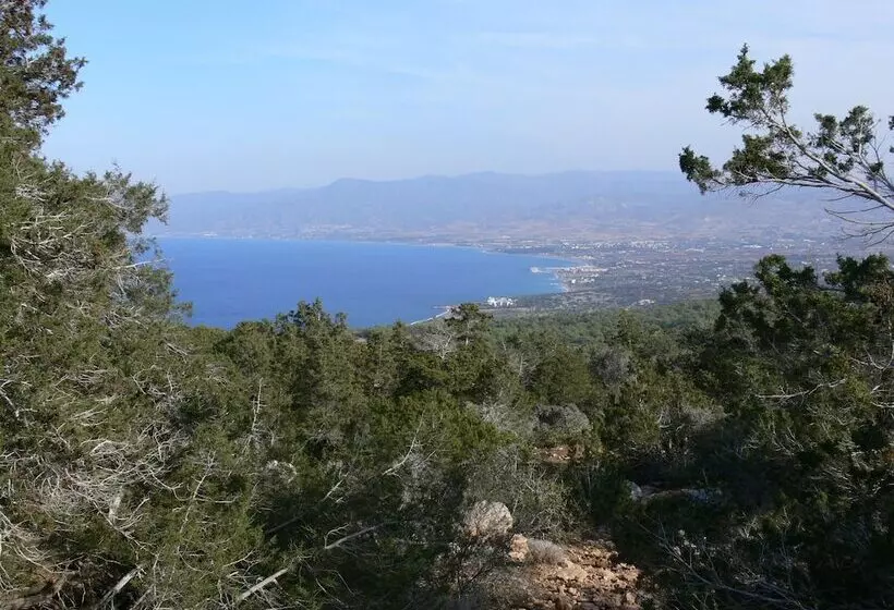 Fotos del hotel Tavros  Apartments:  7