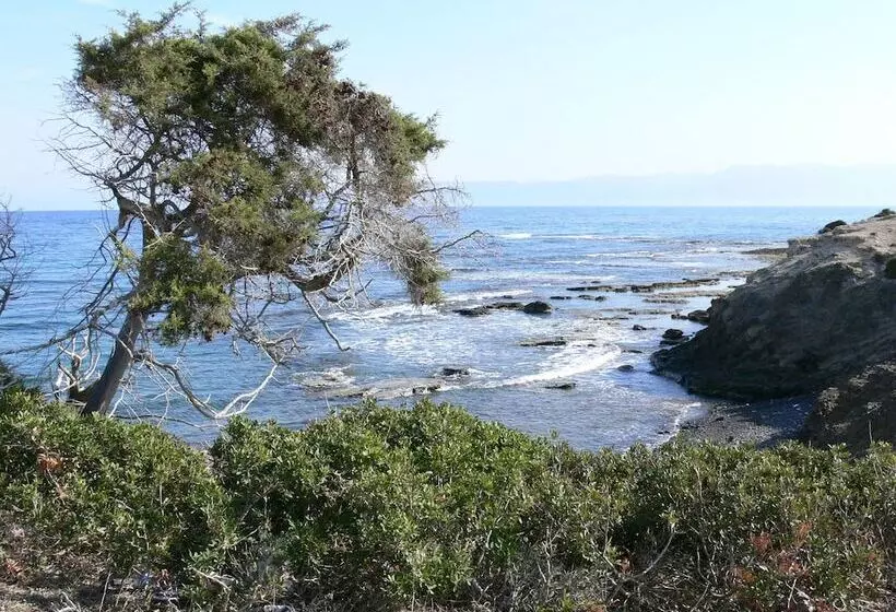 Fotos del hotel Tavros  Apartments:  16