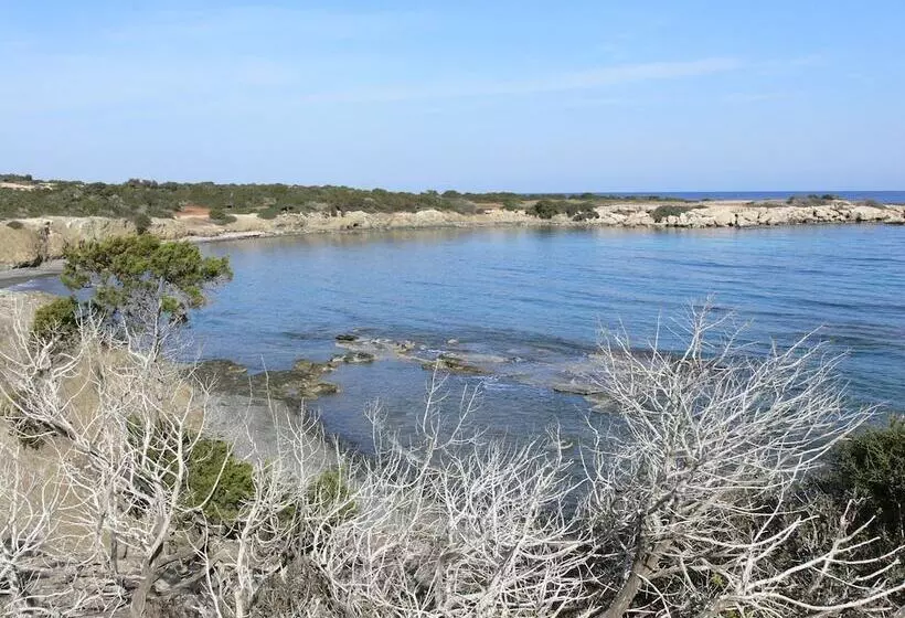 Fotos del hotel Tavros  Apartments:  19