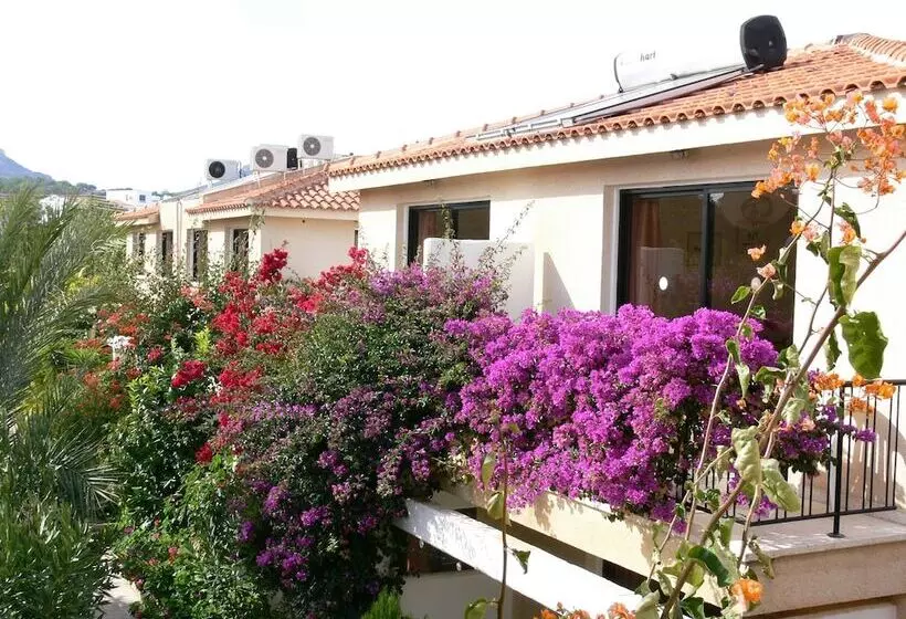 Fotos del hotel Tavros  Apartments:  15