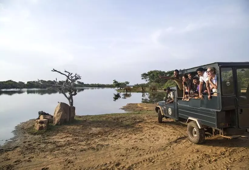 Fotos del hotel Cinnamon Wild Yala:  19