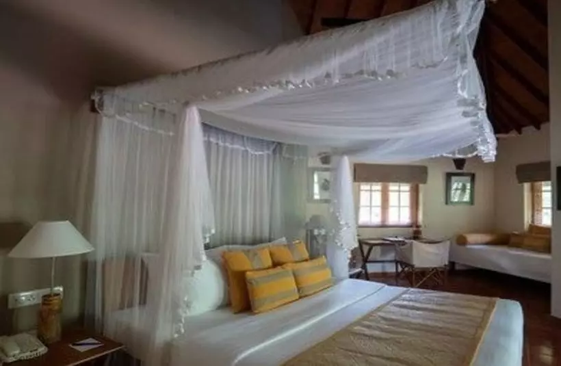 Fotos del hotel Cinnamon Wild Yala:  2