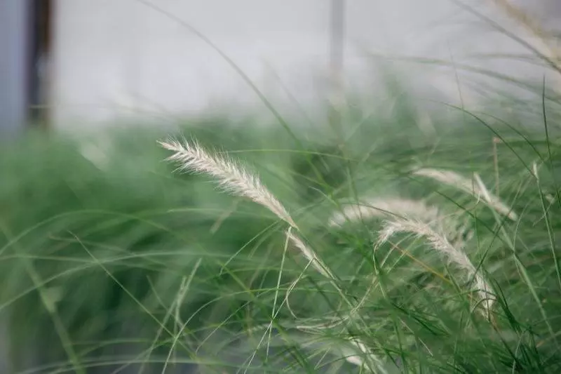 Fotos del hotel Clef:  16