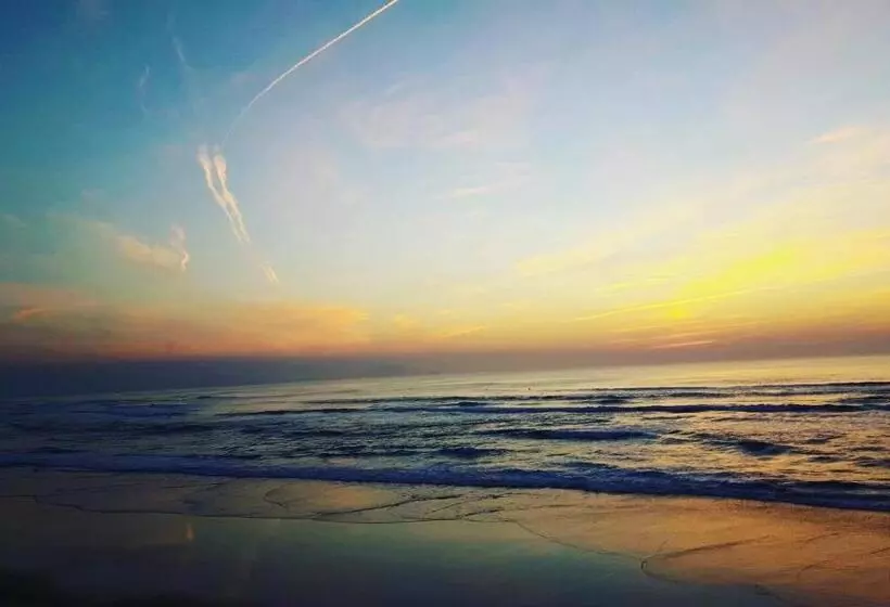 Fotos del hotel Hôtel Georges Vi:  18