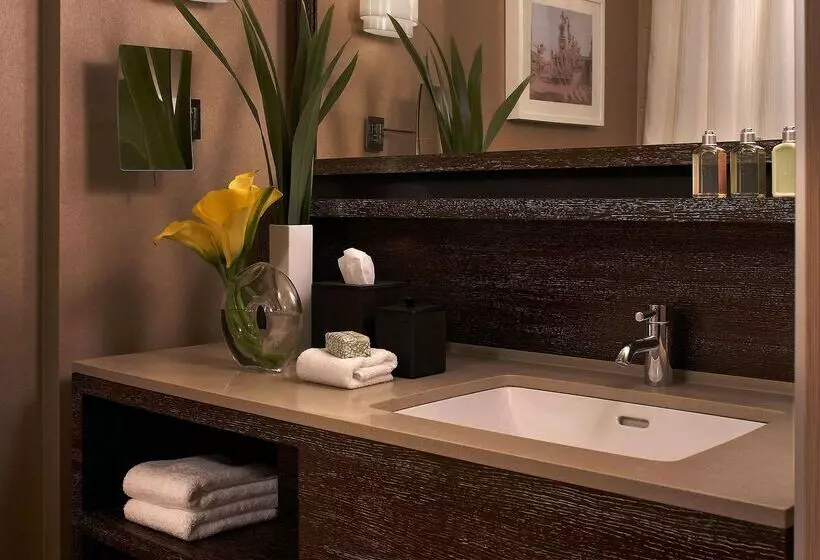 Fotos del hotel Royal Sonesta Chicago River North:  7