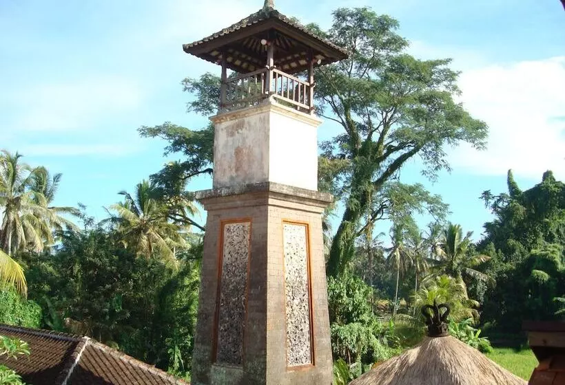 Fotos del hotel Anini Raka Resort & Spa:  13