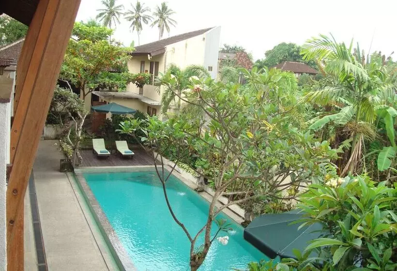 Fotos del hotel Anini Raka Resort & Spa:  7