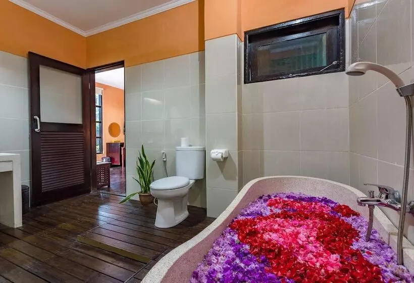 Fotos del hotel Anini Raka Resort & Spa:  4