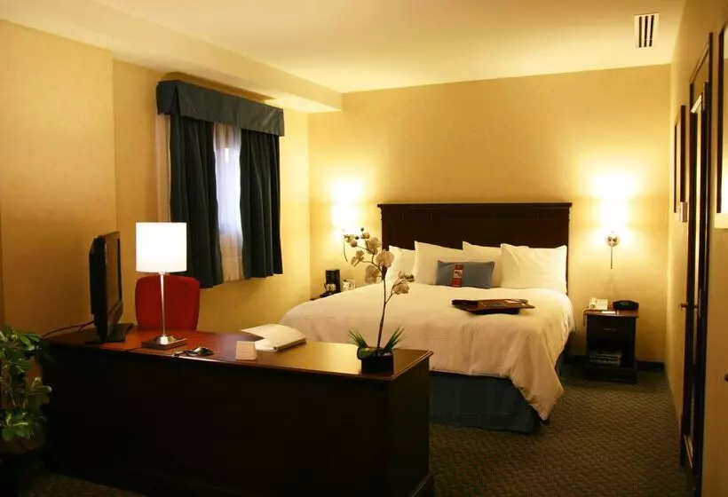 Fotos del hotel Hampton Inn & Suites Mexico City - Centro Historico:  6