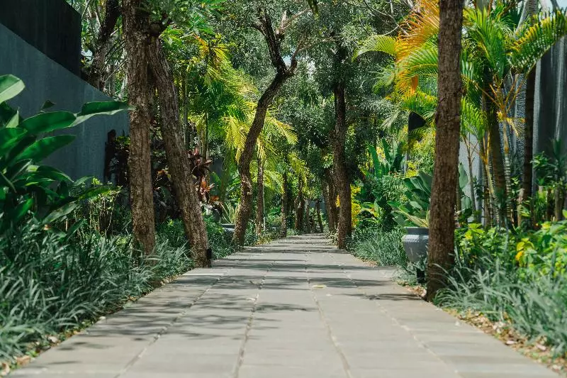 Fotos del hotel Javana:  5