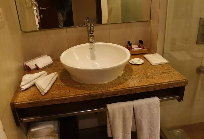 Fotos del hotel Royal Orchid Central Jaipur, Bani Park:  7