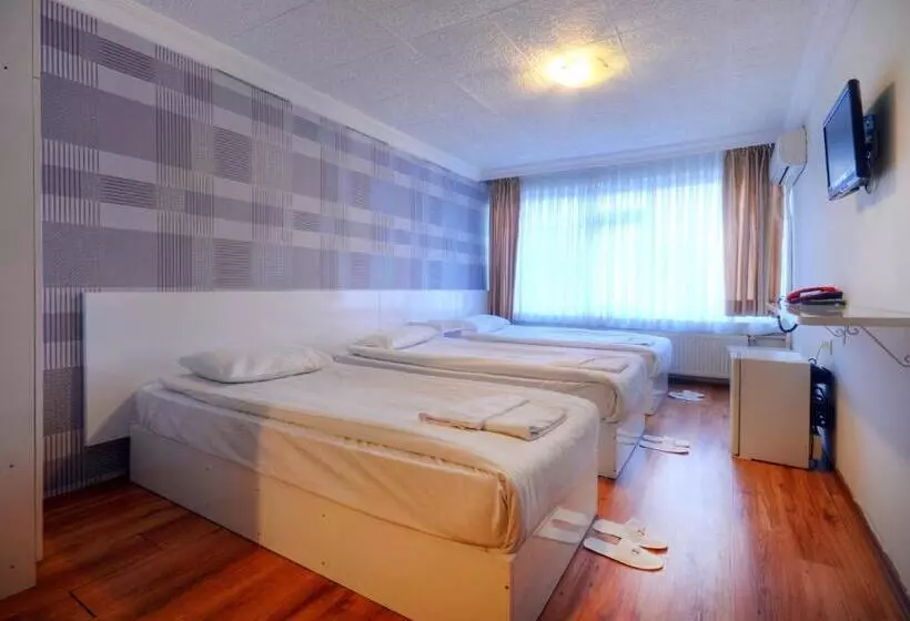 Fotos del hotel Abro Necatibey:  4