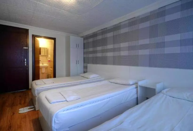 Fotos del hotel Abro Necatibey:  13