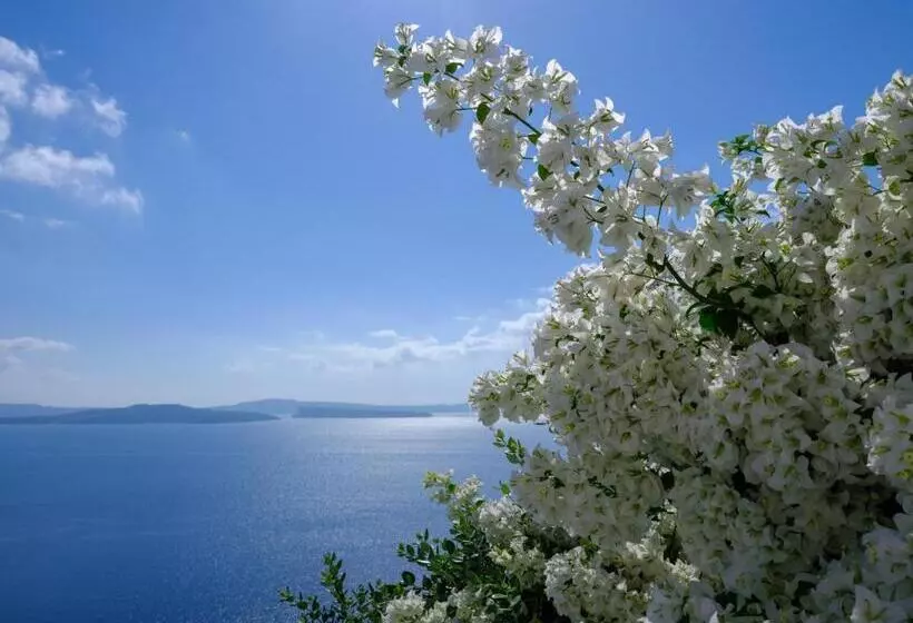 Fotos del hotel Prime Suites:  18