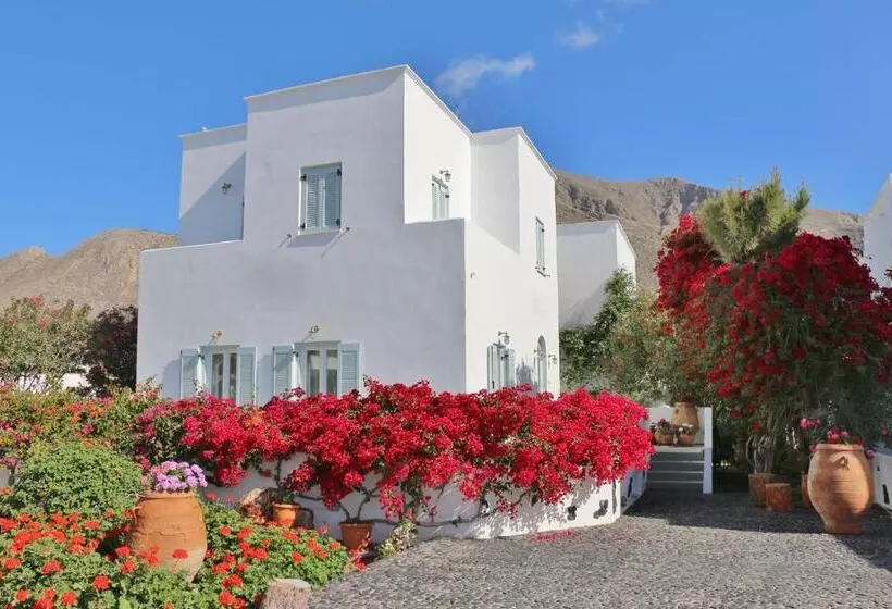 Fotos del hotel Zorzis:  14