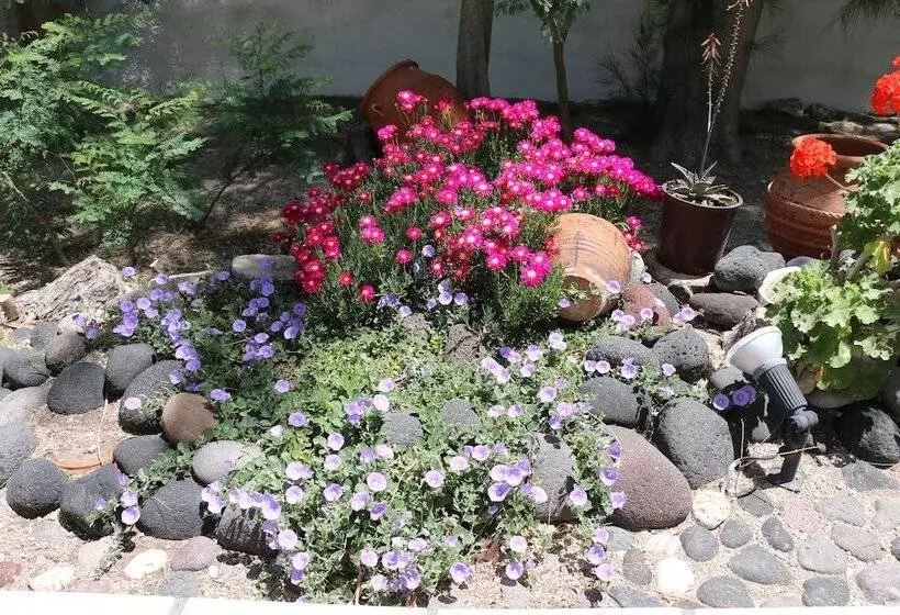 Fotos del hotel Zorzis:  9