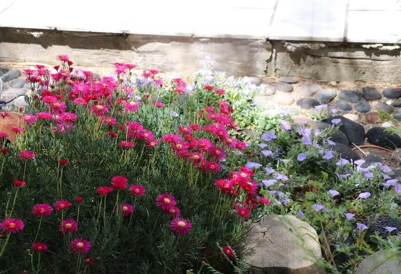 Fotos del hotel Zorzis:  4