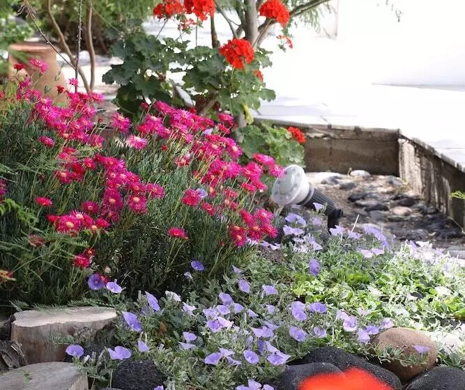 Fotos del hotel Zorzis:  22