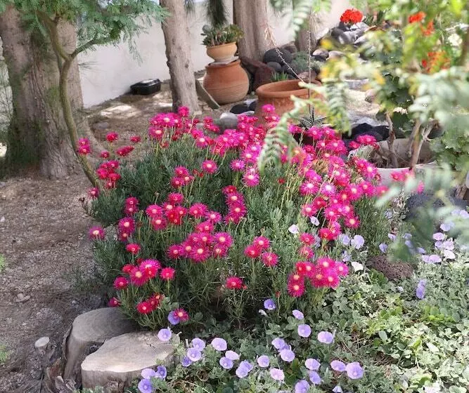 Fotos del hotel Zorzis:  13