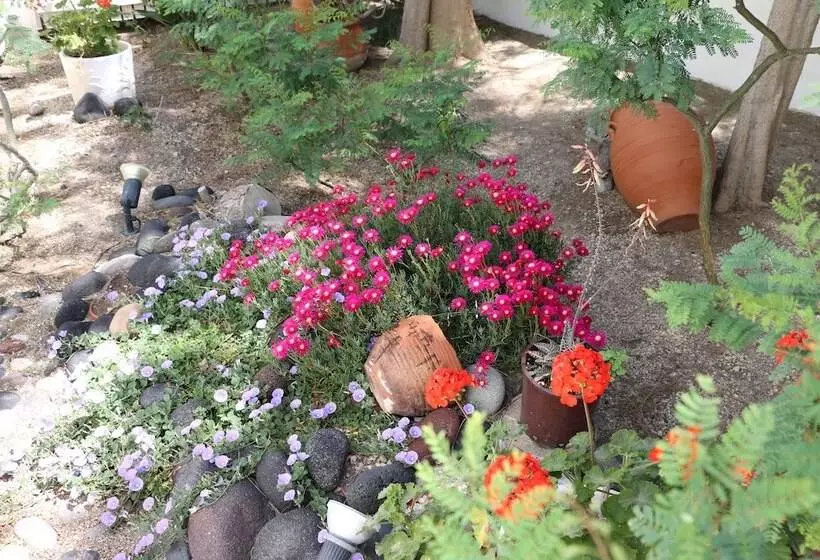 Fotos del hotel Zorzis:  16