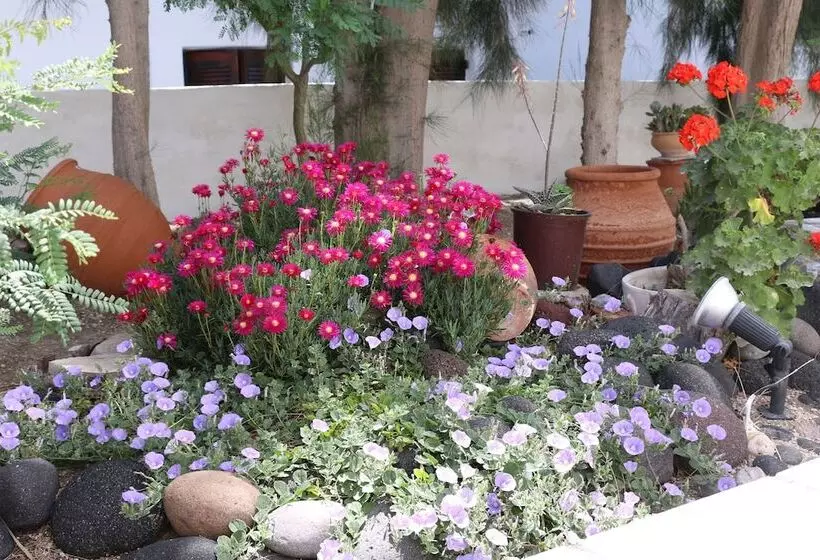 Fotos del hotel Zorzis:  24