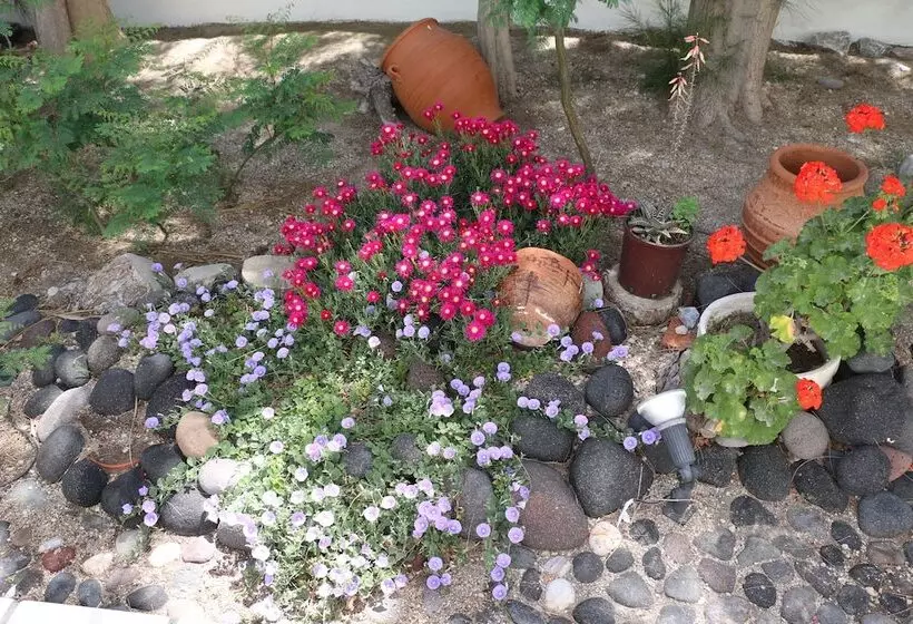 Fotos del hotel Zorzis:  19