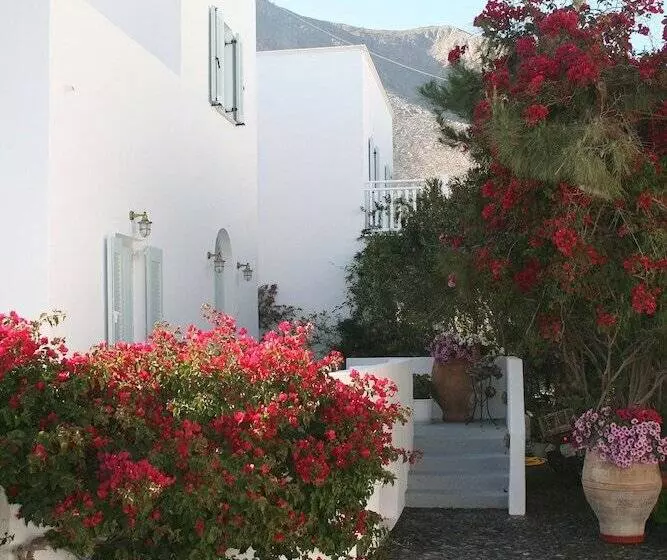 Fotos del hotel Zorzis:  10