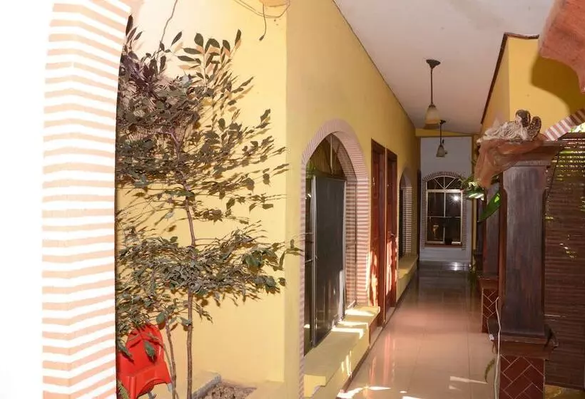 Fotos del hotel Aloha:  24