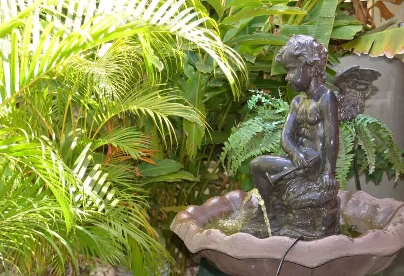 Fotos del hotel Aloha:  19