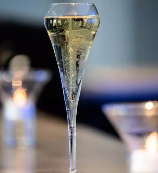 Fotos del hotel Seeko'o Hotel Bordeaux:  5