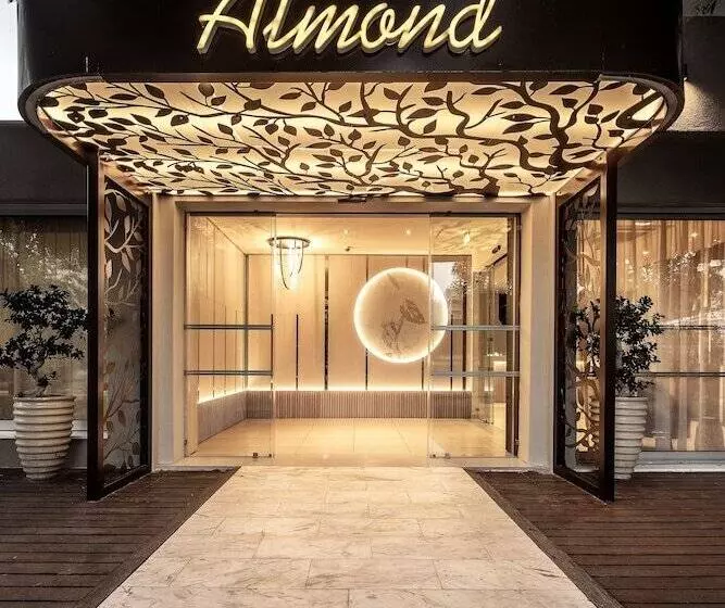 Fotos del hotel Almond Business:  12