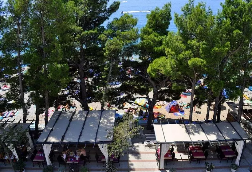 Fotos del hotel Milenij:  25