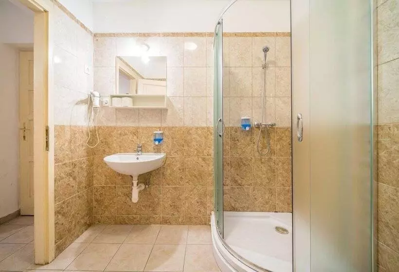 Fotos del hotel Silver Hotel Budapest City Center:  9