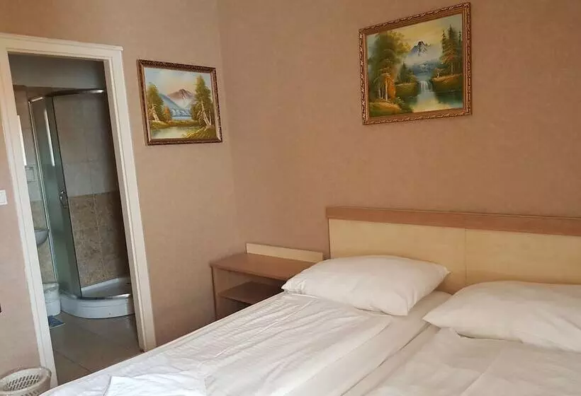 Fotos del hotel Silver Hotel Budapest City Center:  21