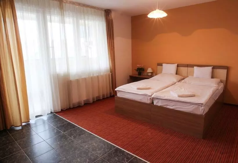 Fotos del hotel Silver Hotel Budapest City Center:  16