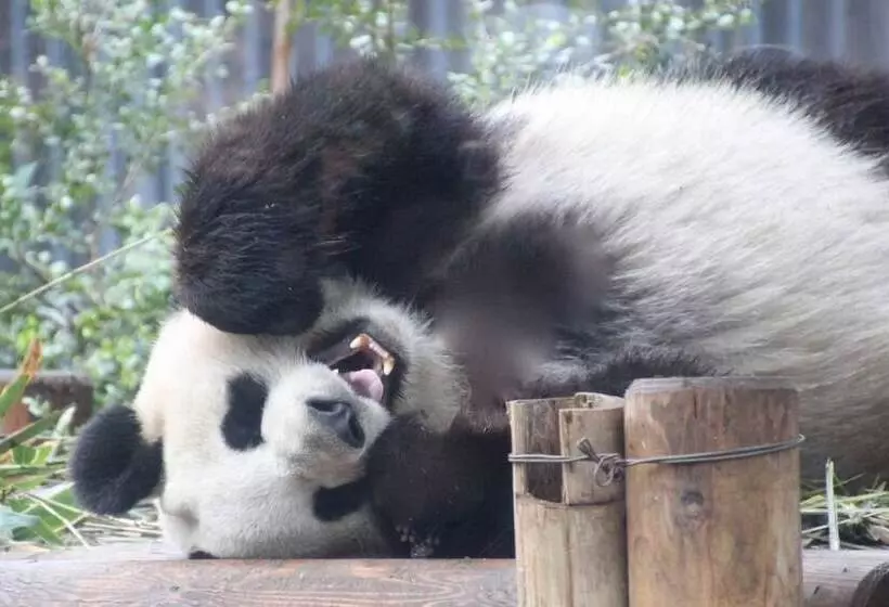 Fotos del hotel Day Nice  Tokyo:  7