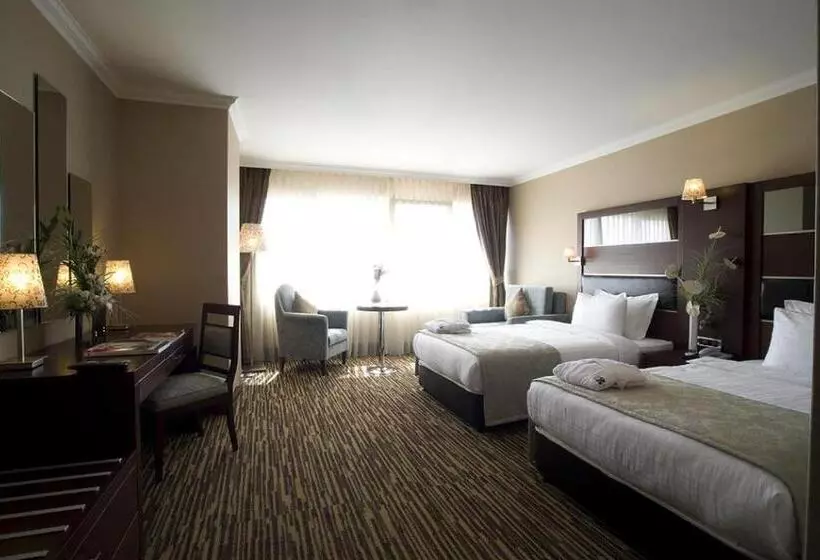 Fotos del hotel Dream Hill Business Deluxe Hotel Asia:  8