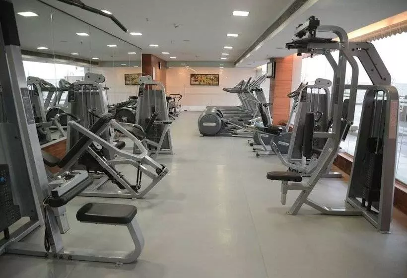 Fotos del hotel The Piccadily:  5