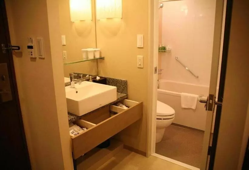 Fotos del hotel Ryumeikan Tokyo:  3