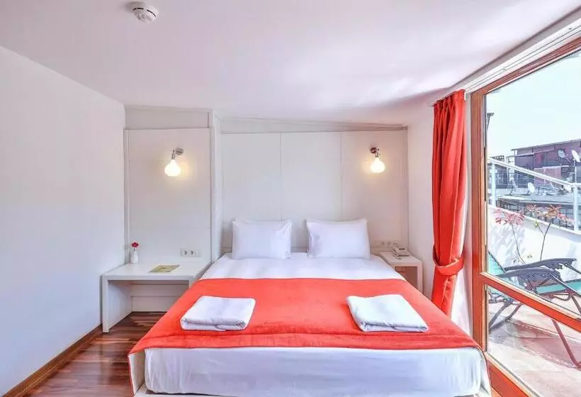 Senatus   Special Class