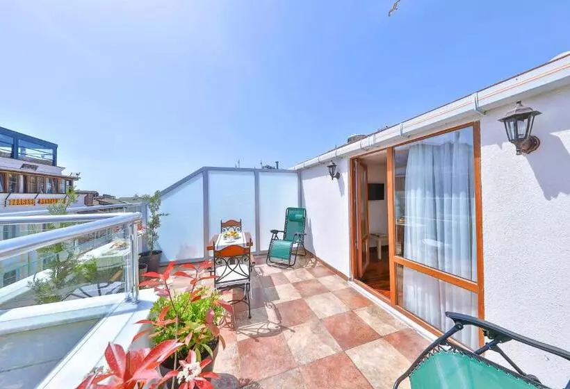 Fotos del hotel Senatus   Special Class:  14