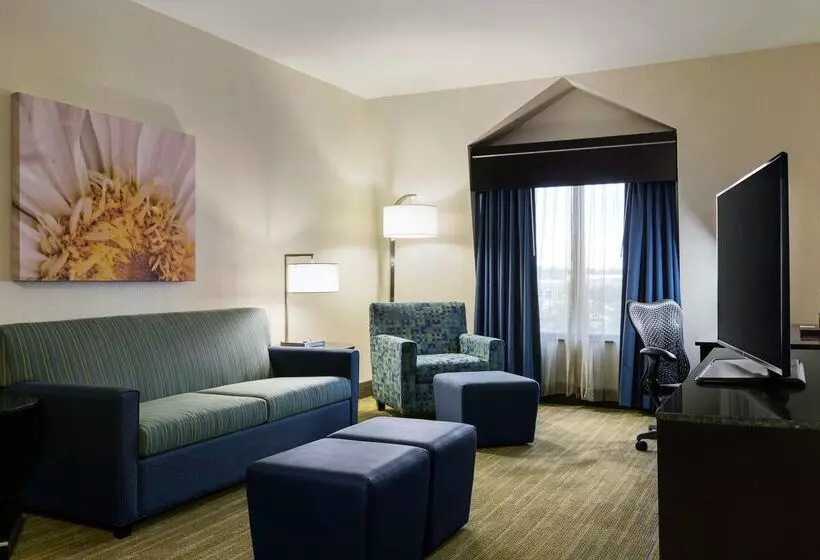 Fotos del hotel Hilton Garden Inn Houston Northwest:  19