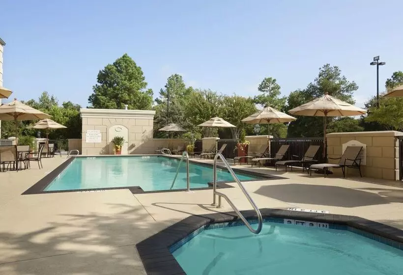 Fotos del hotel Hilton Garden Inn Houston Northwest:  3