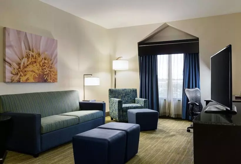 Fotos del hotel Hilton Garden Inn Houston Northwest:  13