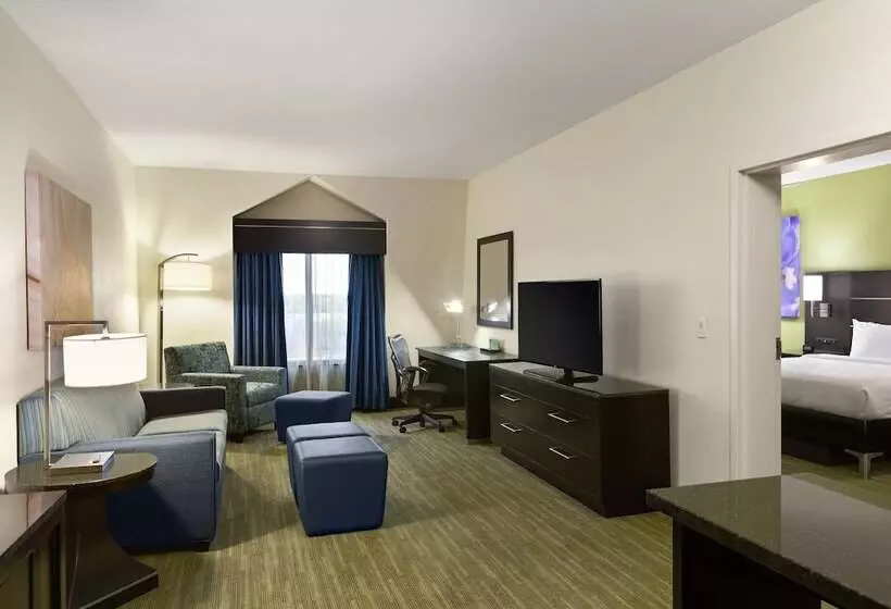 Fotos del hotel Hilton Garden Inn Houston Northwest:  6